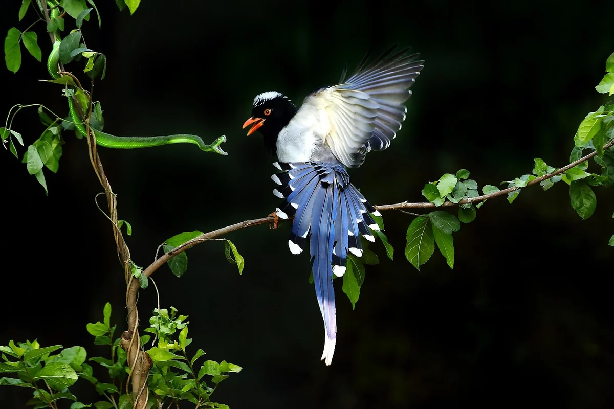 Making Your 2026 Decision